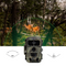 DENVER WCT8026 - Wildcamera - 48MP foto's 4K video WiFi - Groen