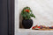 Capi Europe - Vaas bol Groove Colours - 18x15 - Groen - Opening Ø11 - Bloempot voor binnen - 5 jaar garantie - BGVGN102
