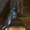 Konstsmide 7248 - Wandlamp - Neerwaarts 38cm E27 IP43 - zwart/zilver