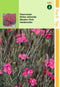 2 stuks - Hortitops - Dianthus Deltoides Erectus Karmijnrose