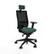 Piqueras y Crespo 2D066N2 - Bureaustoel - Hoofdsteun en armleuning - Groen
