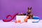 We-Vibe Nova 2 - Tarzanvibrator - Fuchsia