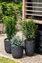 Capi Europe - Bloempot bol Row NL - 35x34 - Antraciet - Opening Ø29 - Bloempot voor binnen en buiten - Levenslang garantie - Breukbestendig - 100% Recyclebaar - CO2 Neutraal geproduceerd - KRWZ932