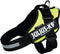 Julius-K9 IDC Powertuig - Hondentuig - XL - Neon