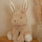 Little Dutch - Knuffelkonijn Baby Bunny - 15 cm - Bruin