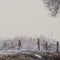 Customize it - Tuinschilderij polder winter 130x70