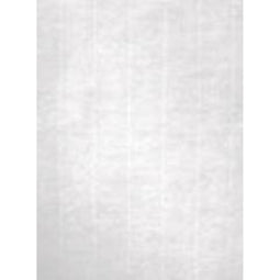 Apli - Papier A4 - Getextureerd - Crème (100 Lakens)