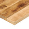 vidaXL - Tafelblad - vierkant - 60x60x2,5 - cm - massief - ruw - mangohout