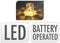 Led Theelicht Transparant, 12st.