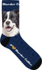 Plenty Gifts Sokken Border Collie