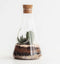 Suck UK Chemistry Terrarium Kit