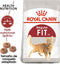 Royal Canin Fit 32 - Kattenvoer Brokjes - Ondersteuning natuurlijke weerstand - 400 g