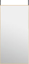 vidaXL - Deurspiegel - 50x100 - cm - glas - en - aluminium - goudkleurig