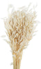 PTMD Gedroogde Bladeren Avena Grasstruik - 45 x 12 x 75 cm - Wit