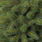 Triumph Tree Kunstkerstboom Bristlecone Fir - 191x191x305cm - PVC - Groen