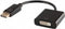 Savio CL-91 0.2m DisplayPort DVI Zwart video kabel adapter