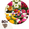 Plant in a Box - Ranunculus - Mix van 80 - Ranunculus bloembollen - Zomerbloeiers - Knollen