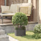 vidaXL - Tuinplanten - 5 - stuks - Zwart - 30x30x20 - cm - Staal