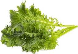 Click & Grow Wasabi Mustard / 3-pack