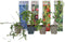Plant in a Box - Mix van 4 Fruitplanten - Goji, blauwbes, veenbes (cranberry), kiwi - Super gezonde Smoothiemix - Pot 9cm - Hoogte 25-40cm