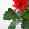 Mica Decorations Gerbera Kunstplant in Bloempot Stan - H35 x Ø30 cm - Rood