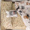Onderlaken HappyFriday MR FOX Multicolour 105 x 200 x 32 cm