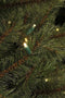 Black Box Toronto Fir - Kunstkerstboom 155 cm hoog - Met Energiezuinige Led lampjes