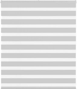 vidaXL - Zebra - rolgordijn - 120x100 - cm - stofbreedte - 115,9 - cm - lichtgrijs