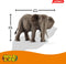 Schleich Wild Life - Afrikaanse olifante - Speelfiguur - 14761�