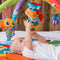 Playgro Clip Clop Musical Activity Gym - Babygym - Muzikale paardjes en afneembare hangers - Multi