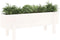 vidaXL - Plantenbak - verhoogd - 101x30x38 - cm - massief - grenenhout - wit