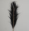 Decoratieve veer - 65x2x175 - Zwart/naturel - Bamboe