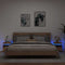 vidaXL - Nachtkastjes - met - LED - 2 - st - 40x39x48,5 - cm - artisanaal - eikenkleur