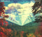 Tame Impala - Innerspeaker - 2 LP - Psychedelische rock