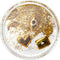 PopSockets PopGrip - Tidepool Good Luck Charm