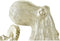 Decoratieve figuren DKD Home Decor Gouden Hars Octopus Mediterrane (25,5 x 24,5 x 15,5 cm)