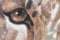 Schilderij Home ESPRIT Koloniaal Tijger 80 x 3,7 x 100 cm (2 Stuks)