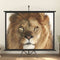 vidaXL - Projectiescherm - 1:1 - 72''