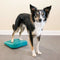 FitPAWS Huisdieren balanshelling 35x35x7 cm blauw