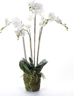 Emerald Kunstplant orchidee met mos wit 90 cm 20.355