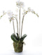 Emerald Kunstplant orchidee met mos wit 90 cm 20.355