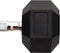 vidaXL - Halters - 22,5 - kg - gietijzer