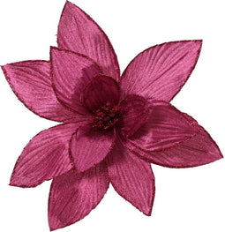 Poinsettia fluwl d30h15 cm groentappl