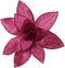 Poinsettia fluwl d30h15 cm groentappl