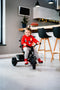 Lionelo Haari - Driewieler 2in1 - Draaibare Zitting - Rubberen Wielen - Groeit Mee - Blauw