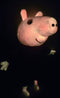 Peppa Pig Knuffel Glow in the Dark - ± 25 cm - Pluche