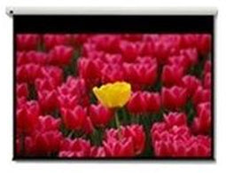 Optoma Pantalla 16:9 - Projectiescherm 120" - 2656 x 1494mm