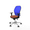 Piqueras y Crespo 1D086G0 - Bureaustoel - Verstelbare hoogte met armleuning - Blauw Bruin
