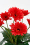 Mica Decorations Gerbera Kunstplant in Bloempot Stan - H35 x Ø30 cm - Rood