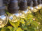 Happy Lights - Lichtsnoer buiten - 20 LED's - 10m